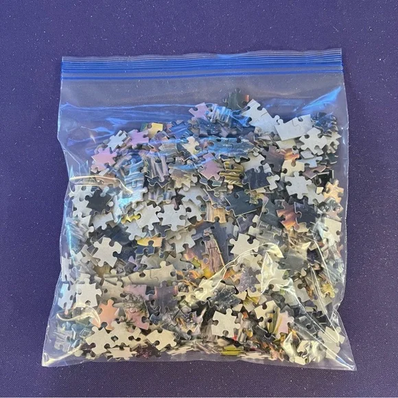 Sunset Beach "Hidden Pictures" 1,000 Puzzle - Picture 6 of 6